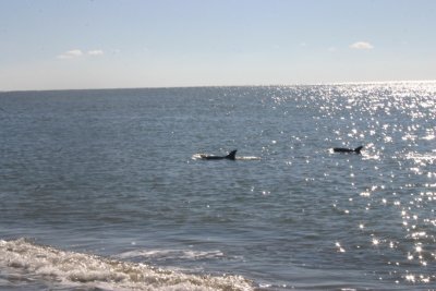 IMG_1214.jpg