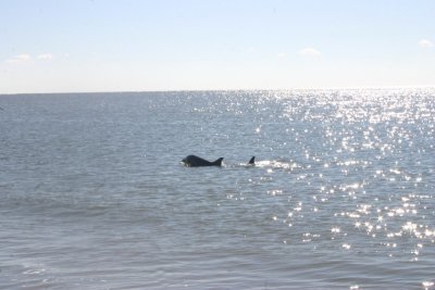 IMG_1216.jpg