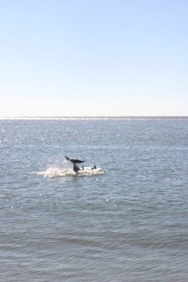IMG_1219.jpg