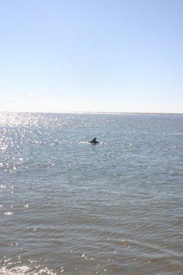 IMG_1220.jpg