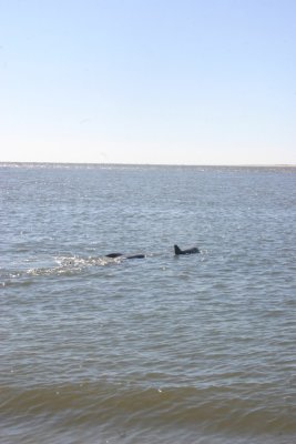 IMG_1227.jpg