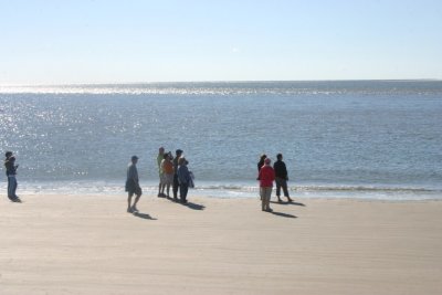 IMG_1230.jpg