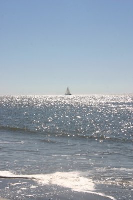 IMG_1239.jpg