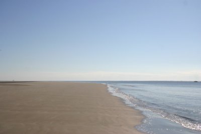 IMG_1241.jpg
