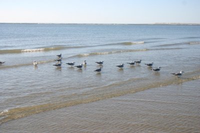 IMG_1243.jpg