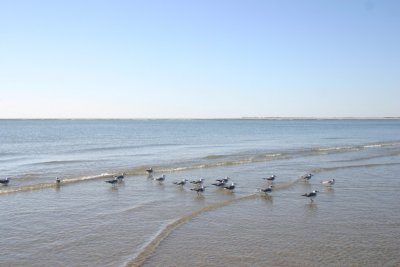 IMG_1244.jpg