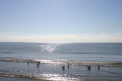 IMG_1245.jpg