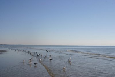 IMG_1248.jpg