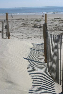 IMG_1261.jpg