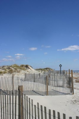 IMG_1263.jpg