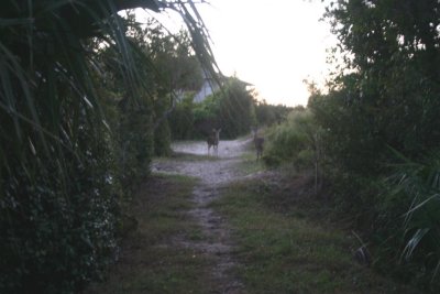 IMG_1265.jpg