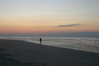 IMG_1268.jpg