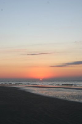 IMG_1274.jpg