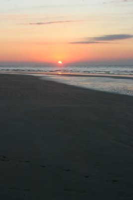IMG_1277.jpg