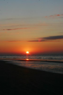 IMG_1281.jpg