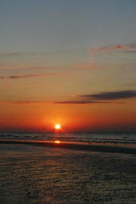 IMG_1282.jpg