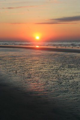 IMG_1283.jpg