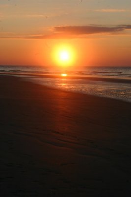 IMG_1293.jpg