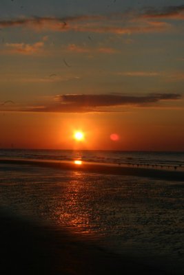 IMG_1295.jpg