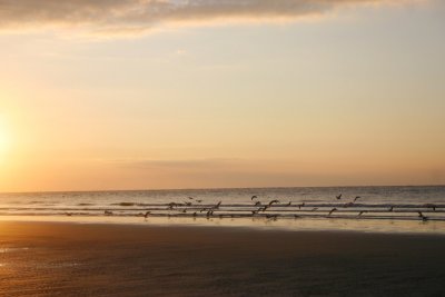 IMG_1307.jpg