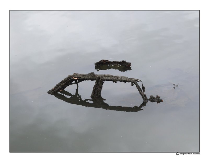 DSCF2378.jpg