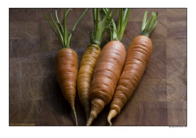 carrots1.jpg
