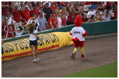 Why Is Nobody Looking At Fredbird?