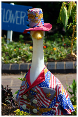 Patriotic Duck
