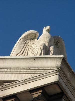 IMG_5289.JPG