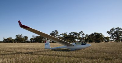 DSC_6588.JPG