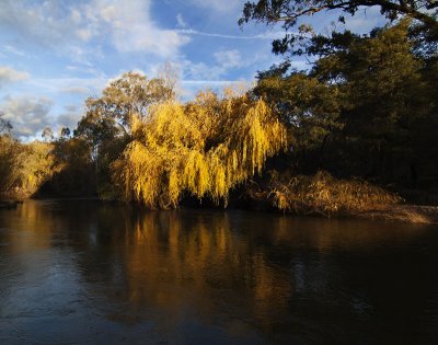 DSC_7529.jpg
