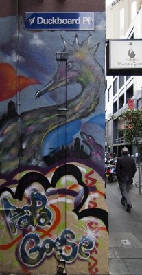 DSC_7921.jpg