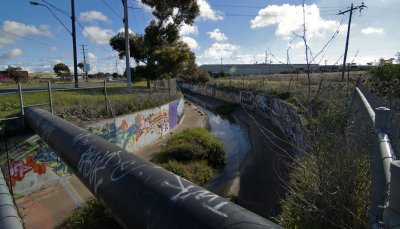 DSC_7988.jpg