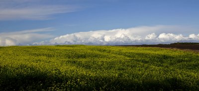 _DSC0598.jpg