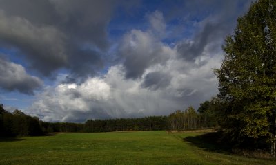 _DSC0707.jpg
