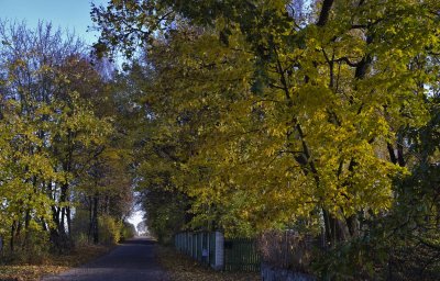 _DSC1409.jpg