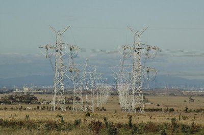 DSC_7882.jpg