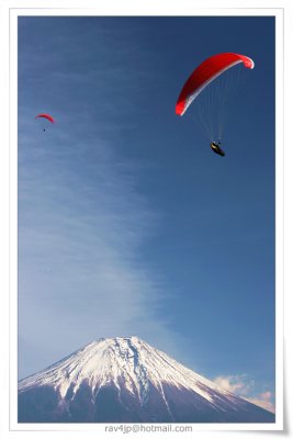 IMG_8128.jpg