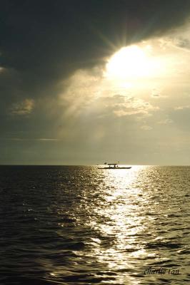 Bohol