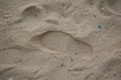 Leave nothing,........ but footprints.