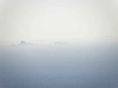 A-Pt Reyes j.JPG