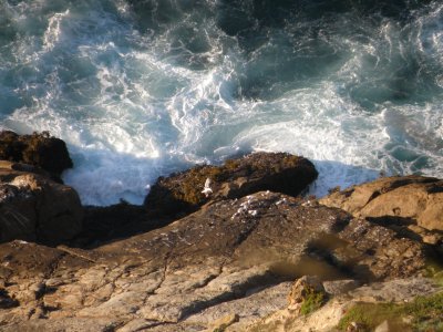 A-Pt Reyes o.JPG