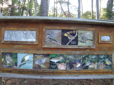 A- Kipotpeke Banding Station 10-11 3.JPG