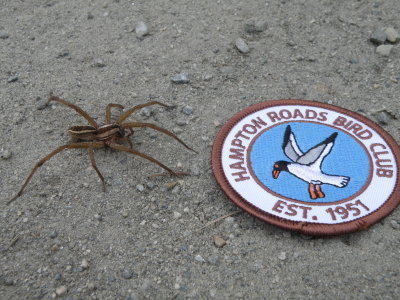 PA100427.JPG