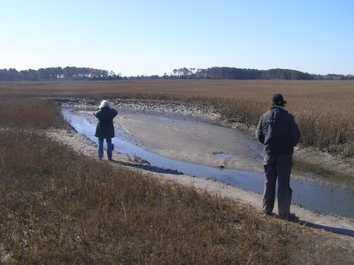 HRBC Birders ESVA 1-09 c.JPG