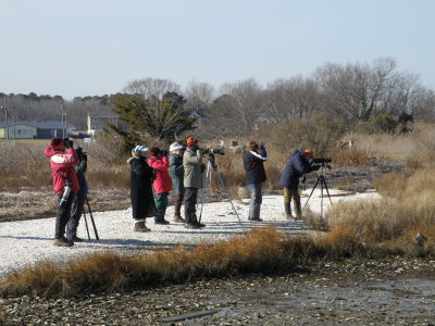 HRBC Birders e.JPG