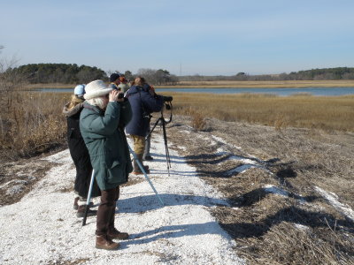 HRBC Birders c.JPG