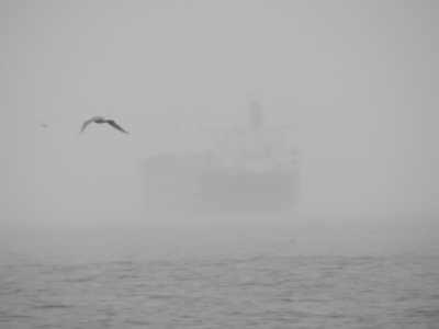 Ships in the fog CB jan 12 b.JPG