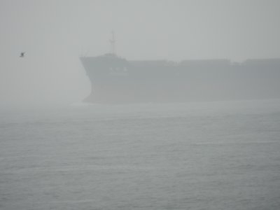 Ships in the fog CB jan 12 f.JPG
