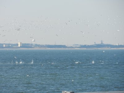 CBBT ES 020412 zu.JPG